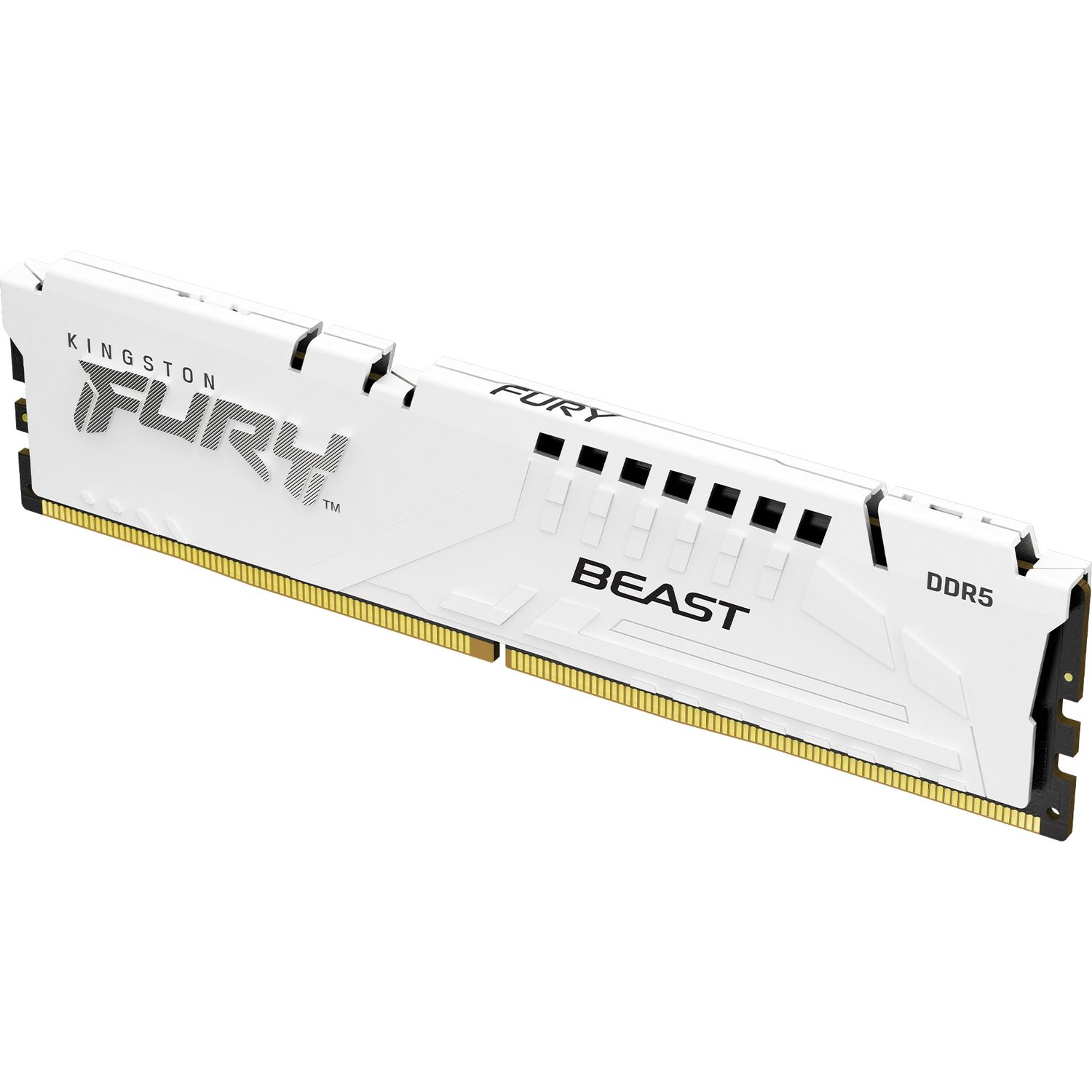 Память оперативная Kingston FURY Beast KF556C40BW-16